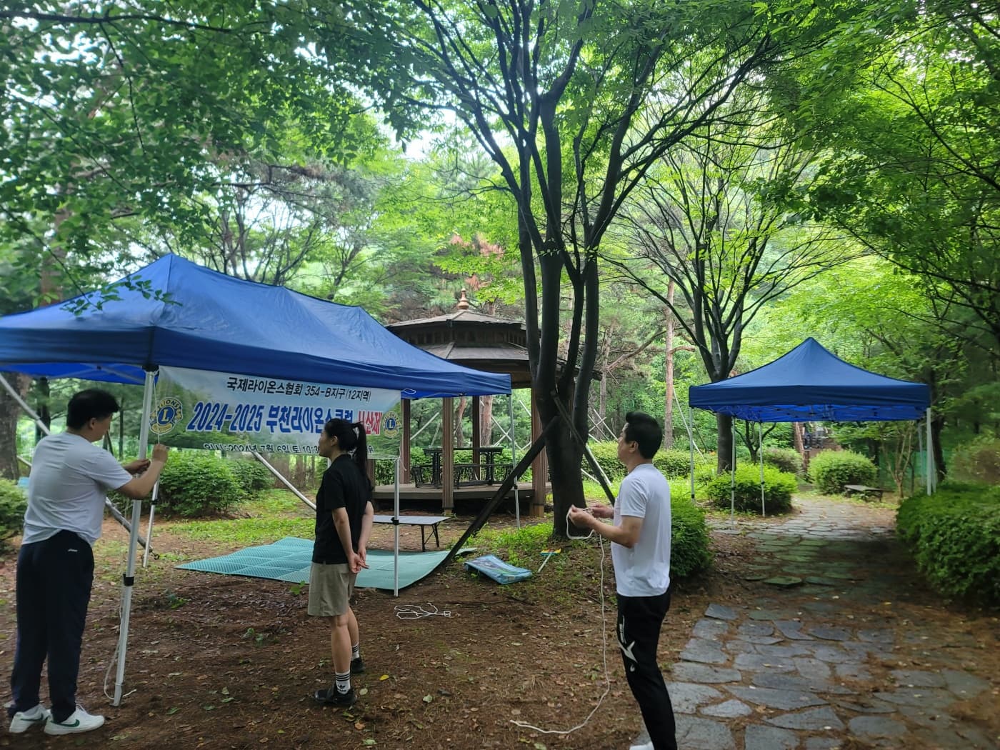 6m x 3m 케노피 천막